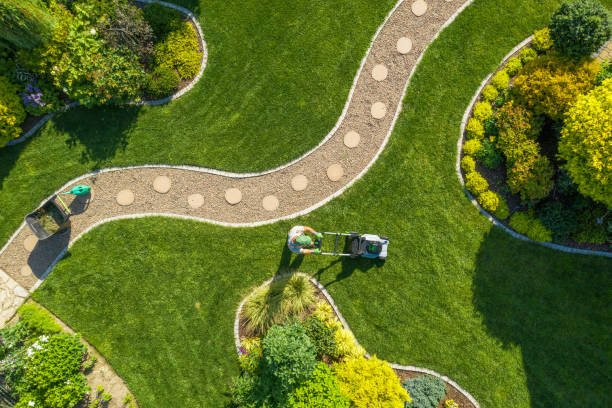 Landscaping Construction & Hardscaping services